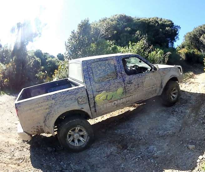 D22 Navara with 2' Ironman 4x4 foam cell lift